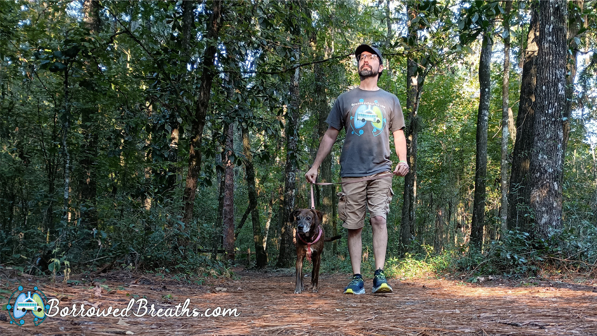 Descent to Devil’s Millhopper – Borrowed Breaths